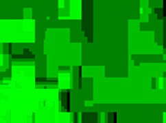 i follo mi cuñado latina style, amateurs getting wild