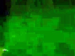 Stunning girlfriend gives blowjob on the street at night