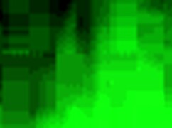 London head from the front view.