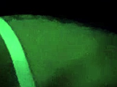 i, harmony, suck eefah's big black cock so good, it's monster size