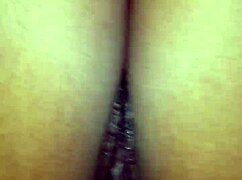 2016年6月8日视频