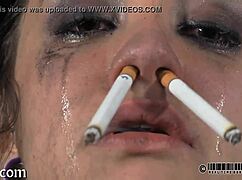 free hardcore sadomasochism content to explore with intense action scenes