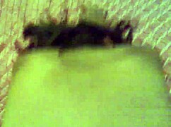 Amateurs in a Peruvian setting practice safe positioning techniques