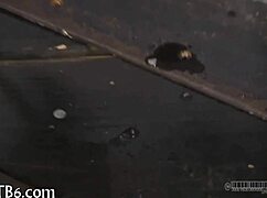 How does this lusty facial punishment feel, huh?