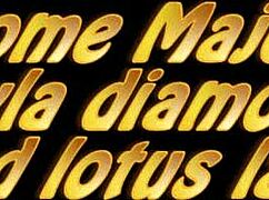 crazy white bitch goes wild in this video