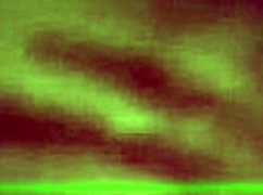 young couple enjoys intimate moments together