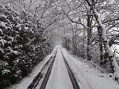 The Chick With A Huge Ass Received Intense Action