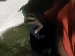 验证视频第一部黑屌口交引发深情高潮