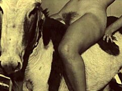 dark lantern entertainment brings retro beauty and the beast vibes.