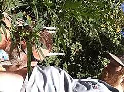 Hot suck and fuck in 420 patch.