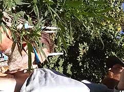 Hot suck and fuck in 420 patch.