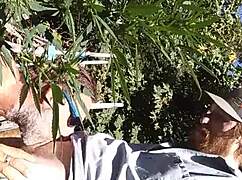 Hot suck and fuck in 420 patch.