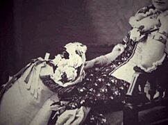 What’s Up with Eskimo Nell’s Hairy Retro Beaver?