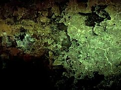 vintage cartoon drawings from the past