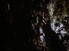 Sexy nude blonde girl outdoors from 10 to midnight