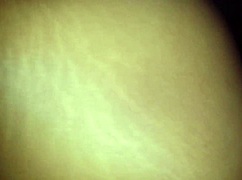 Siii's anal scene from Bolivia