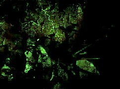 复古色情画活过来细节超淫