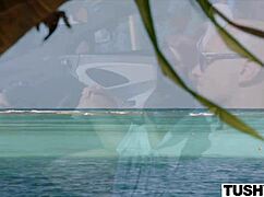 tushy good girl talia meets stranger for intense outdoor anal. she takes fingering and cum in mouth.