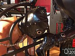 Femdom and BDSM with the help of a chastity cage