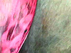 睡前吃黑妞骚逼湿家拍