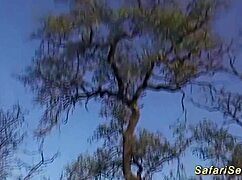 胖非洲妻户外巨屌猛操大屁股