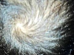 i got seduced by my friends and taken to the basement for sex, sweat, and lots of tension until we cum deliciously - full sheer com