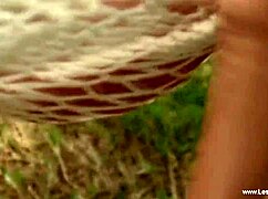 Rebekah和Tereza玩具女同自慰探索😏