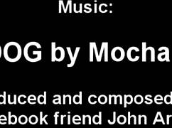 Asian Teen Uses Mouth to Slip Condom on Brunette’s Cock