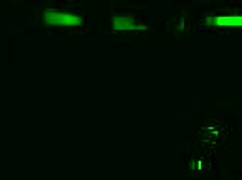 你现在是女孩之一吗，在这个女主逆转中？