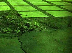 Mature Women Dominate Teens in BDSM Strapon Compilation