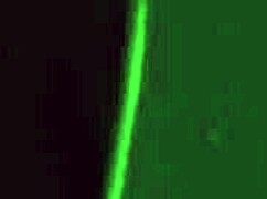 我渴望感受她温暖的精液在我身上 - 3D热辣性爱