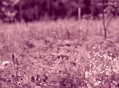 Intense Risky Public Anal Fuck in City Park