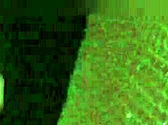 Provoquei o uber e deixei ele brincar com minha bucetinha