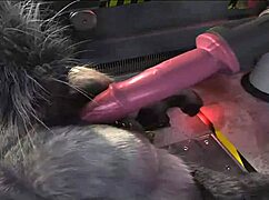 Furry compilation with a special sex machine
