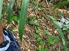 Maduro trabalhador da fazenda pega servente de pedreiro. Trepam intensamente dentro do mato em ação gay.