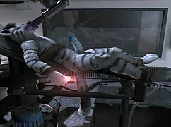 Furry compilation with a special sex machine