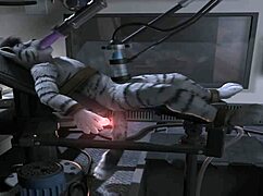 该死，看这疯狂机器猛插马屁股合集！