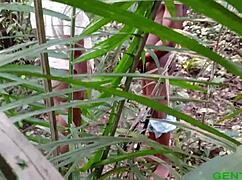 我把他弄上床尝我的肥美黑妞热穴