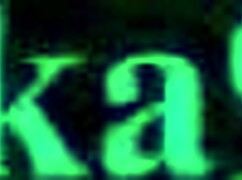 嘿，想看Panchy和Zangya狂野人妖性爱吗？