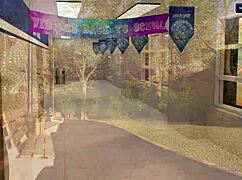 写真猎艳26：骚货硬吃巨屌