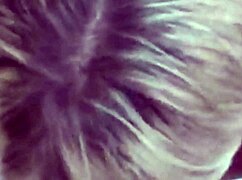 Gangbang with Big Cock Sucking and Fucking Action!