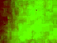 妈呀，Em Nhung越南巨臀曲线超火辣！