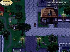 哇！Henteria Chronicles 3像素公主秀大奶，太诱人了