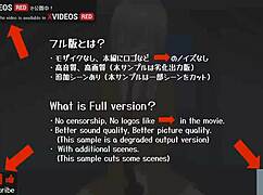 Tessa’s uncut hentai game with 2D animation and an anime ending