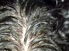 喝大屌奶，拉丁美女深喉，毛茸茸小穴穿性感内衣