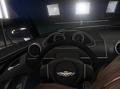 Gta 5 first person hooker scene 11 😎