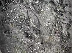 Stranger Blows Me On Beach