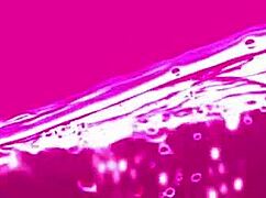 Aria Taylor刺穿巨乳网络自慰狂插假屌高潮