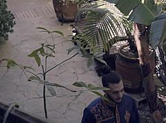 Jasmine Sherni and Adonis in sensual forplay films together