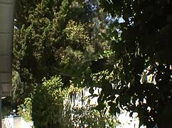 lisa ann takes on shorty macs massive black dick